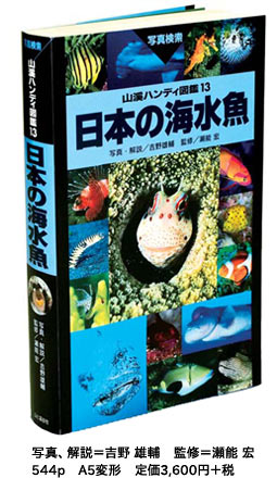 新刊 山溪ハンディ図鑑 日本の海水魚 出版のご案内 ゆうすけ書店 豪海堂 豪海倶楽部