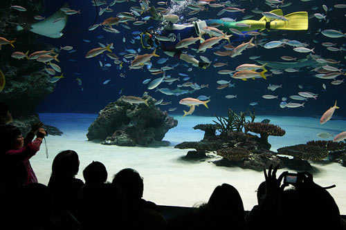 サンシャイン水族館