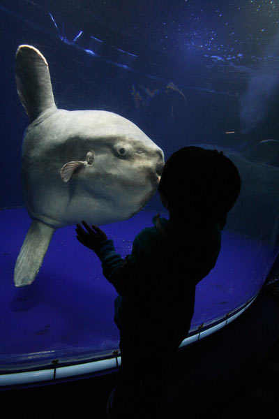 サンシャイン水族館