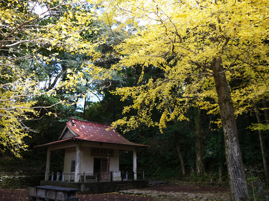 山の中にある小さな神社