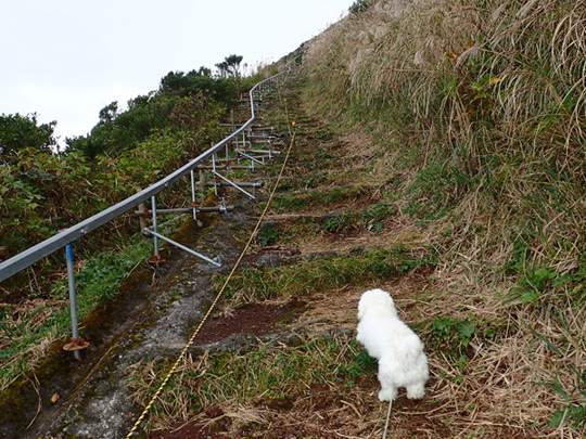 登山道に沿って続くレール