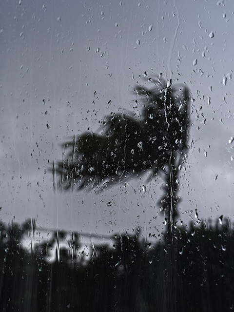 外は雨