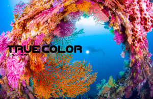 TRUE COLOR