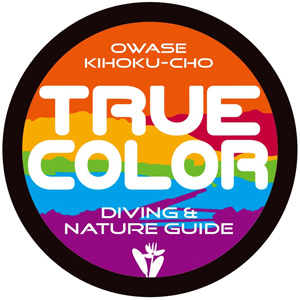 TRUE COLOR