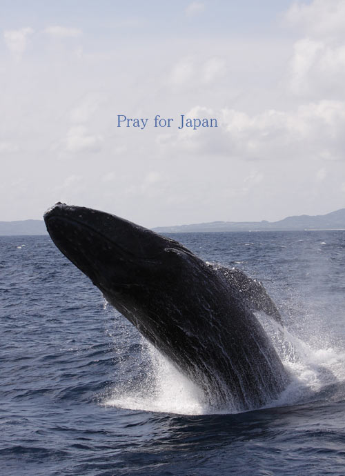 Pray for Japan