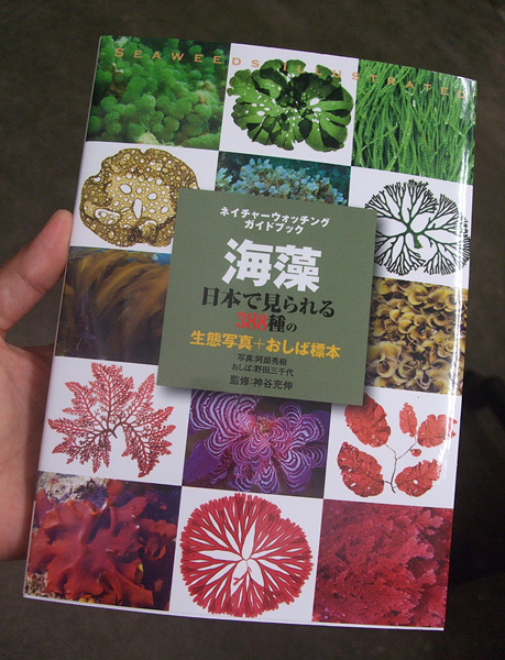 ネイチャーウォッチング ガイドブック「海藻」日本で見られる388種の生態写真＋おしば標本