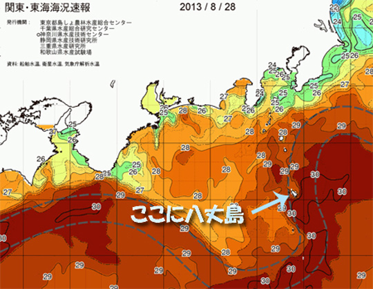 関東、東海近辺の海水温
