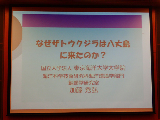 なぜザトウクジラは八丈島に来たのか？