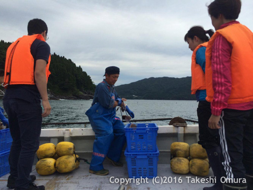 ホタテの耳釣り体験