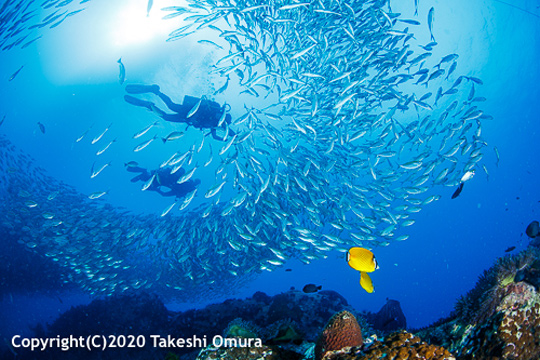 タイ、タオ島の今