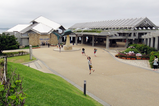 沖縄美ら海水族館