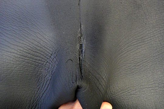 お尻の割れ目 お尻の割れ目