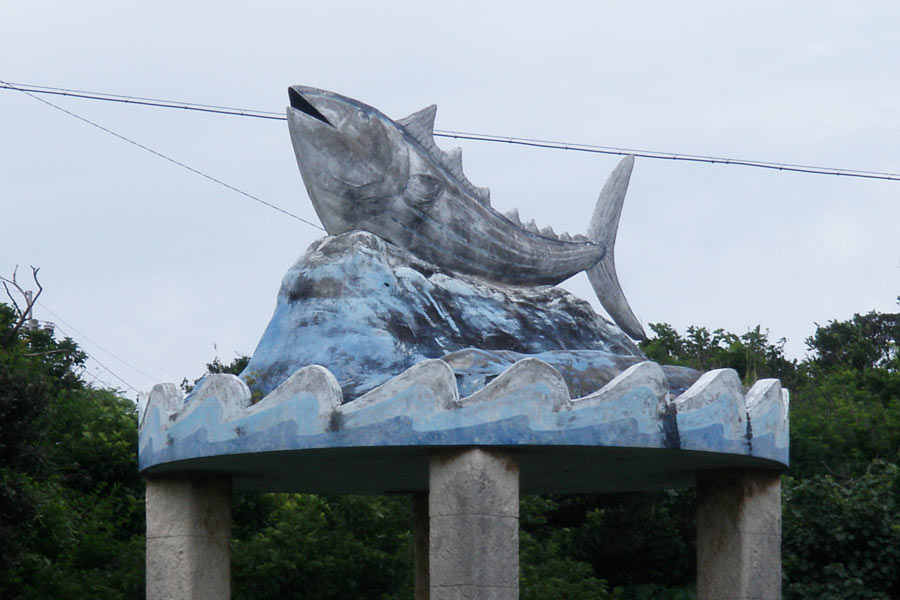 池間漁港のカツオ