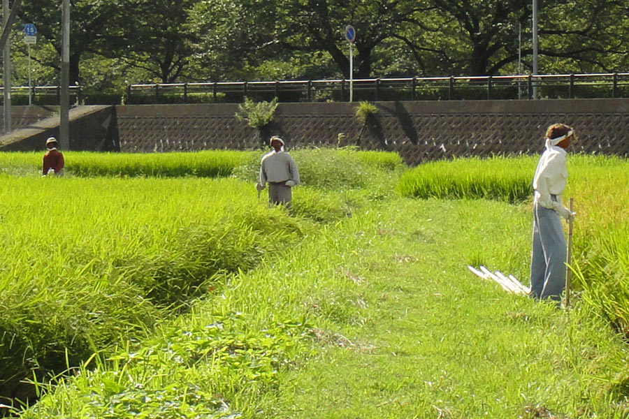 農作業中っぽい感じの案山子（かかし）