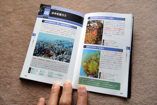 水中を撮ろう 水中を撮ろう