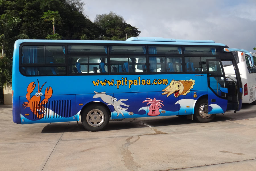 ヒュンダイ製の観光バス
