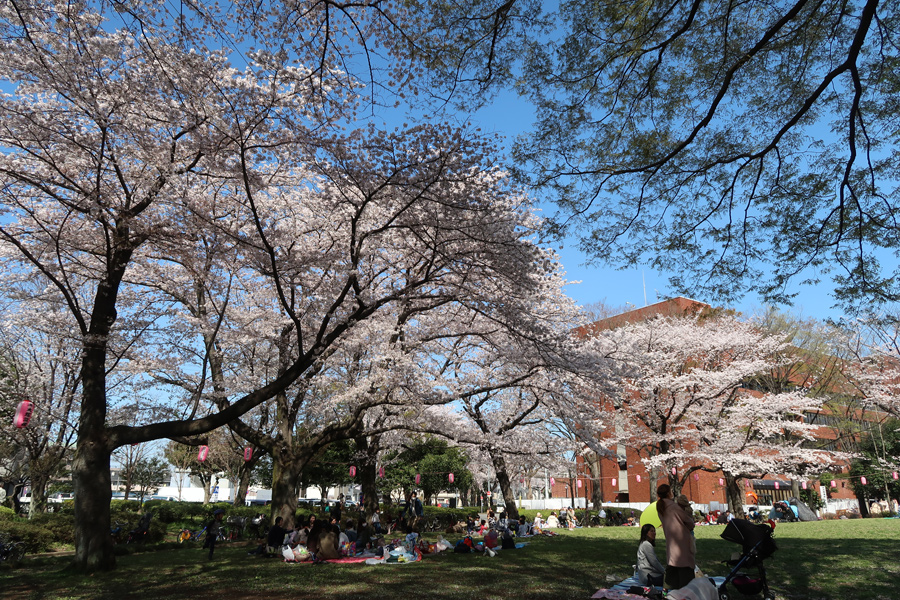 日野中央公園