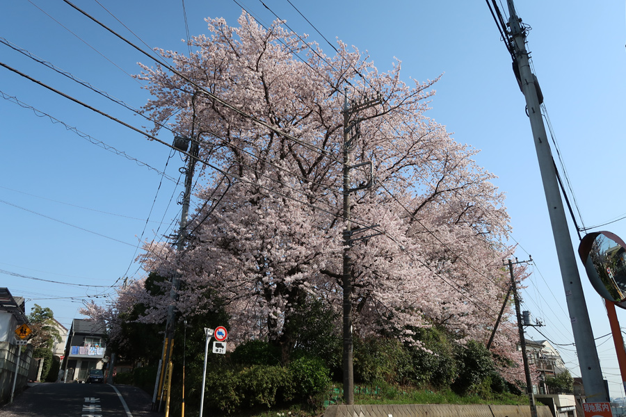 大坂西公園