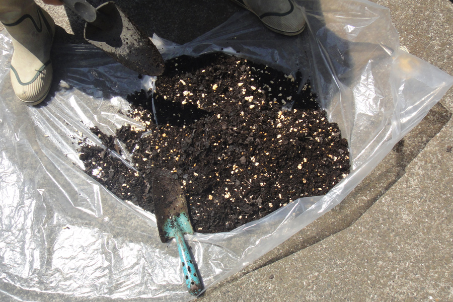 鹿沼土（1）、花と野菜の培養土（6）、腐葉土（3）を混ぜた土