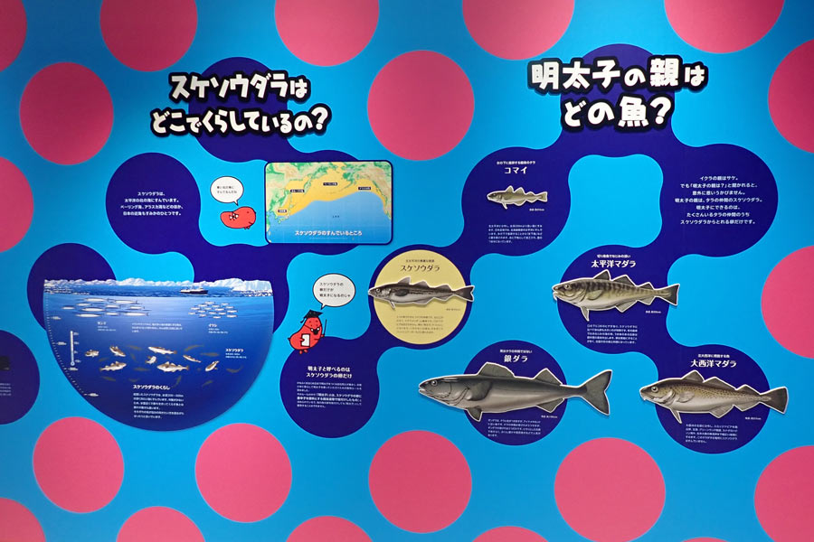 明太子の親はどの魚? 明太子の親はどの魚?