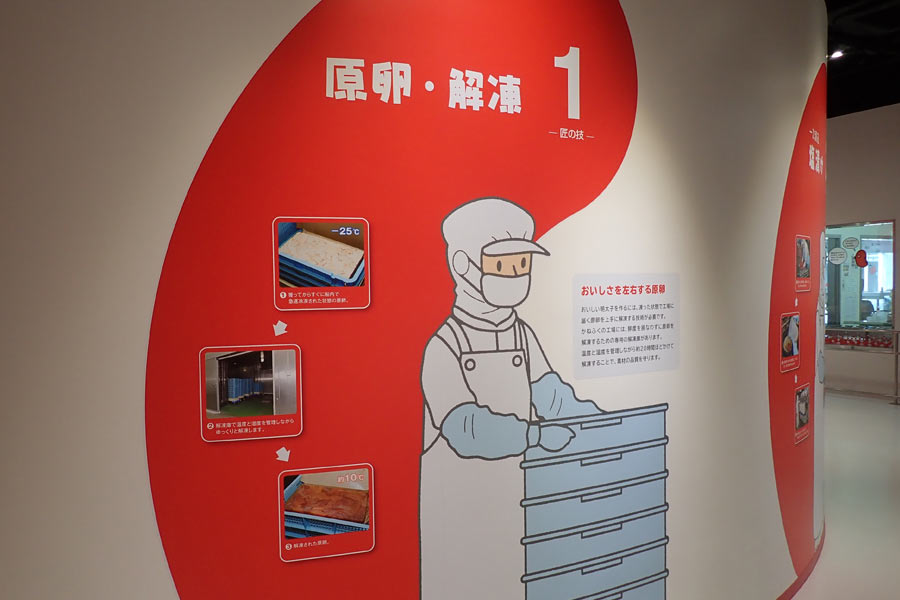 原卵・解凍 原卵・解凍