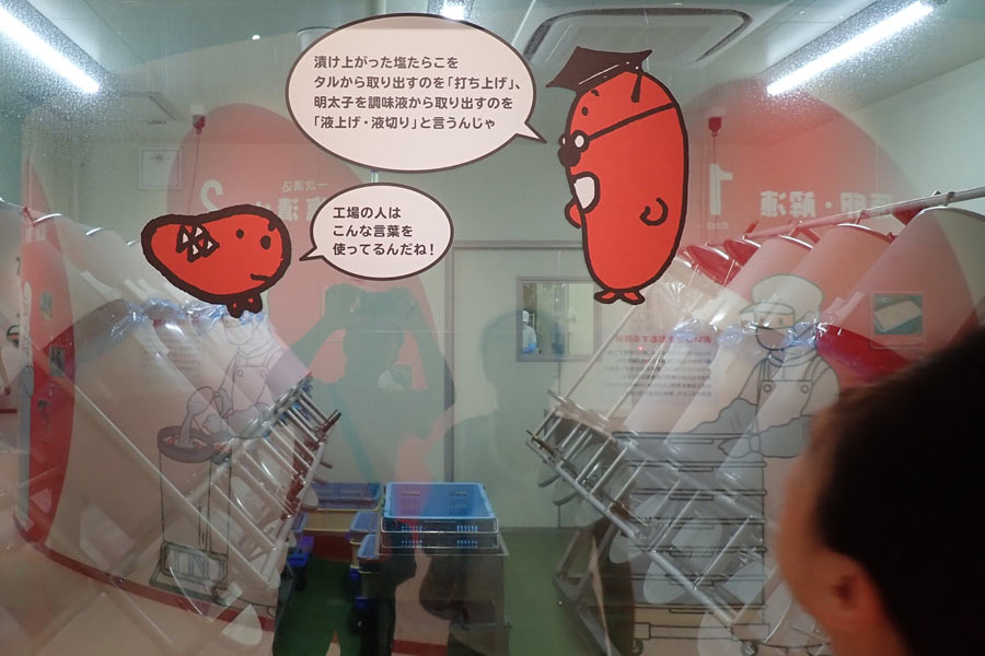 塩蔵工程 塩蔵工程