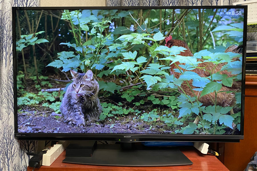 シャープ AQUOS 45V型 BS・CS 4Kチューナー内蔵液晶テレビ 4T-C45BN1