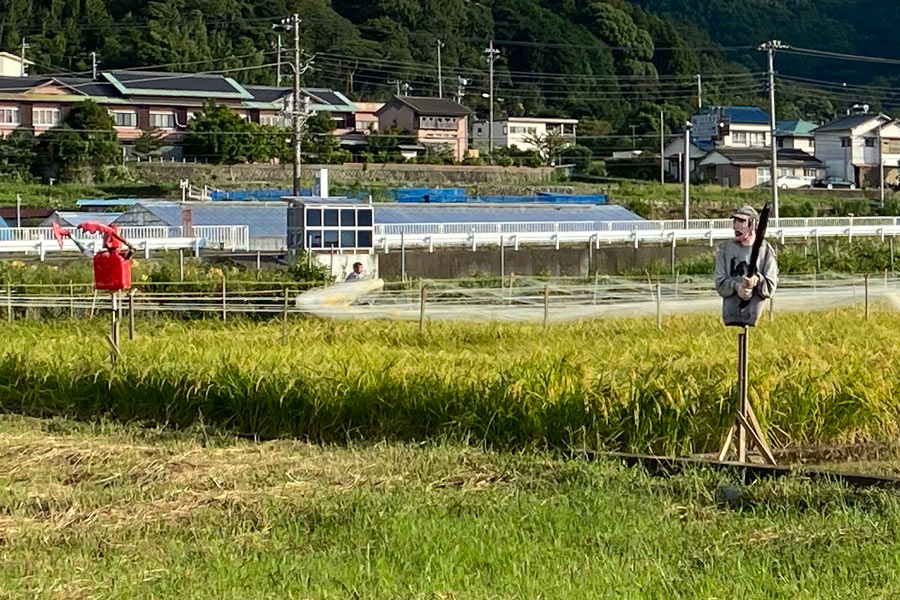 野球してるみたいな2体