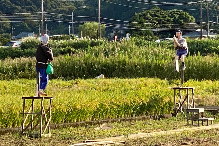 おばさんと五郎丸選手