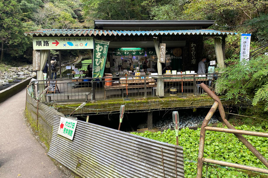 わさびの店