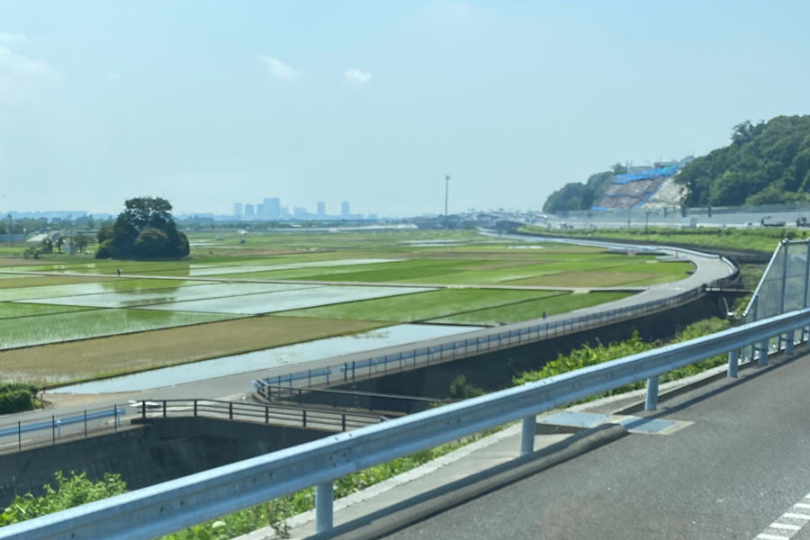 田んぼとサギと倉庫と