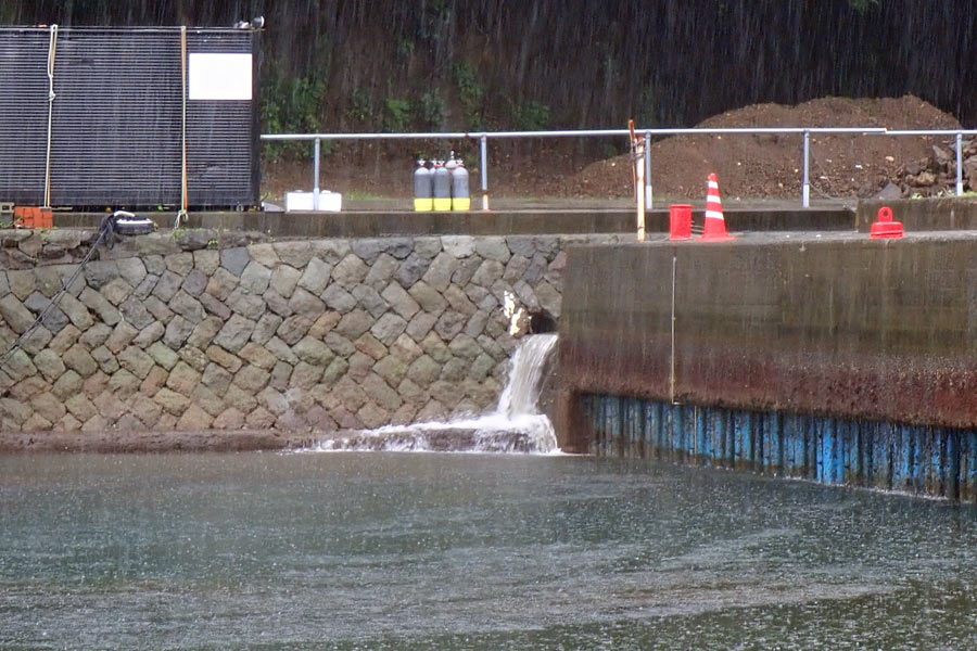 排水溝から海に大量の雨水が