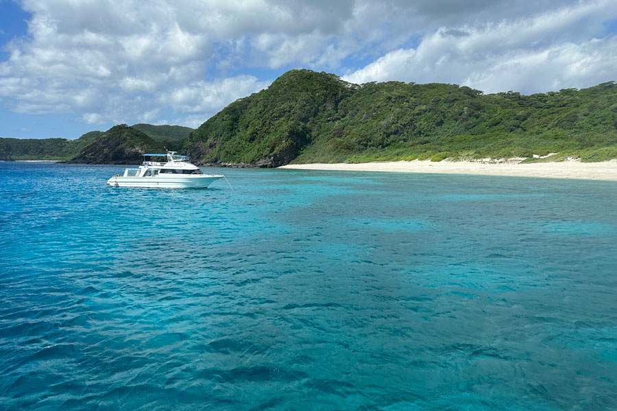 座間味島の唐馬浜