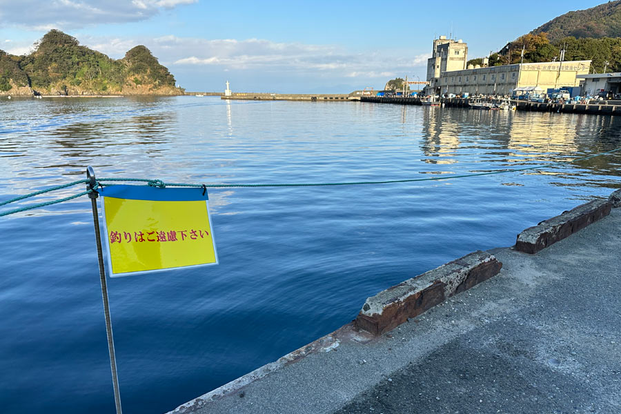 釣りが禁止になった田子漁港