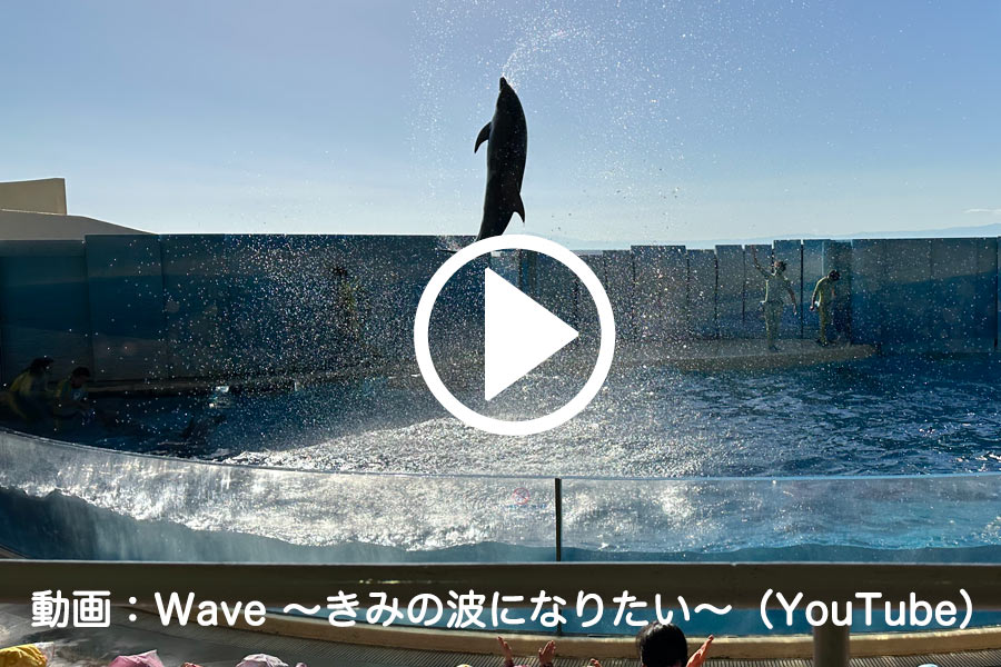 イルカショー「Wave ～きみの波になりたい～」の動画