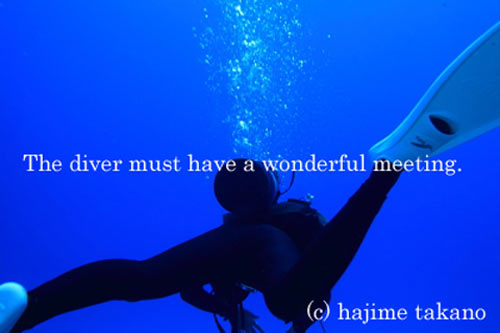 The Diver must have a wonderful meeting.