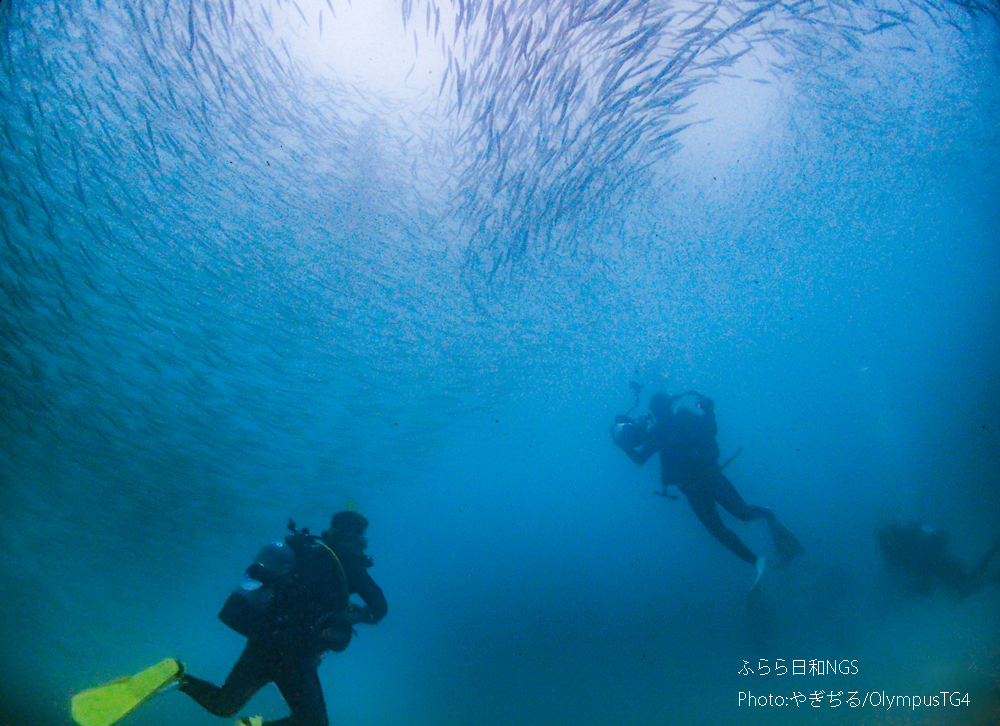 コンデジで撮る平沢の海